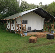 Woody Safari Tent