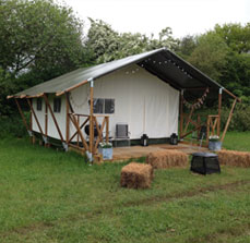 Glamping Woody Safari Tent